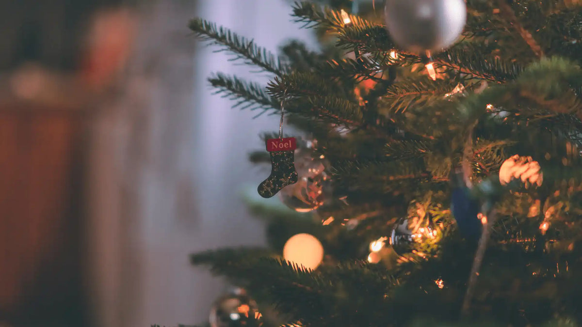 ¿Sabías sobre el síndrome del árbol de Navidad y su relación con el eczema? ¡Aquí te contamos!🎄